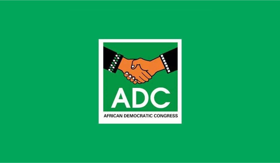 Former presidential candidate of the African Democratic Congress (ADC), Dumebi Kachikwu, has strongly criticised what he calls an illegal attempt by former Senate President David Mark and others to take control of the party.